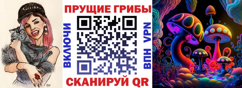 Псилоцибиновые грибы Psilocybine cubensis  где можно купить   Первомайск 